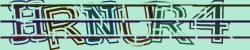 Darstellung des Captcha-Codes.