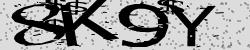 Darstellung des Captcha-Codes.