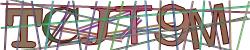 Darstellung des Captcha-Codes.