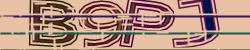 Darstellung des Captcha-Codes.