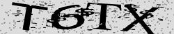 Darstellung des Captcha-Codes.