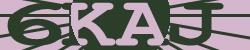 Darstellung des Captcha-Codes.
