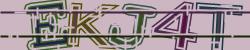 Darstellung des Captcha-Codes.