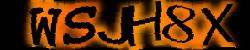 Darstellung des Captcha-Codes.
