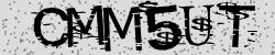 Darstellung des Captcha-Codes.
