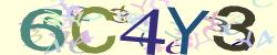 Darstellung des Captcha-Codes.