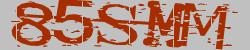 Darstellung des Captcha-Codes.