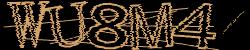 Darstellung des Captcha-Codes.