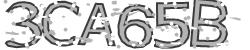 Darstellung des Captcha-Codes.