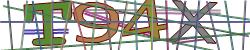 Darstellung des Captcha-Codes.