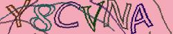 Darstellung des Captcha-Codes.