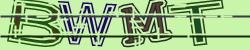 Darstellung des Captcha-Codes.