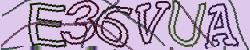 Darstellung des Captcha-Codes.