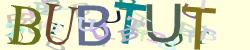 Darstellung des Captcha-Codes.