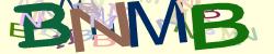 Darstellung des Captcha-Codes.