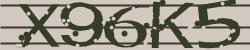 Darstellung des Captcha-Codes.