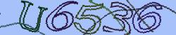 Darstellung des Captcha-Codes.