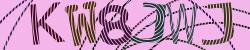 Darstellung des Captcha-Codes.