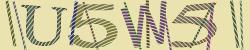 Darstellung des Captcha-Codes.