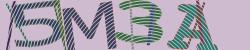 Darstellung des Captcha-Codes.