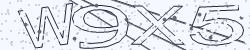 Darstellung des Captcha-Codes.