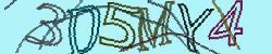 Darstellung des Captcha-Codes.