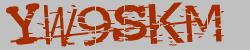 Darstellung des Captcha-Codes.