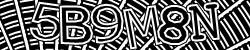 Darstellung des Captcha-Codes.