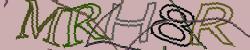Darstellung des Captcha-Codes.