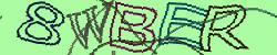 Darstellung des Captcha-Codes.