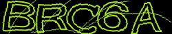 Darstellung des Captcha-Codes.