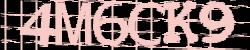 Darstellung des Captcha-Codes.