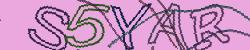 Darstellung des Captcha-Codes.