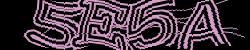Darstellung des Captcha-Codes.
