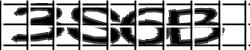 Darstellung des Captcha-Codes.