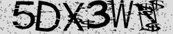 Darstellung des Captcha-Codes.