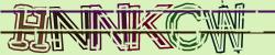 Darstellung des Captcha-Codes.