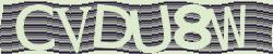 Darstellung des Captcha-Codes.