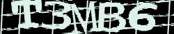 Darstellung des Captcha-Codes.