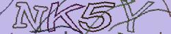 Darstellung des Captcha-Codes.
