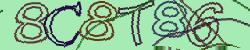 Darstellung des Captcha-Codes.