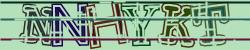 Darstellung des Captcha-Codes.