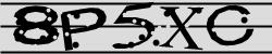Darstellung des Captcha-Codes.