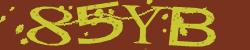 Darstellung des Captcha-Codes.