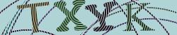 Darstellung des Captcha-Codes.