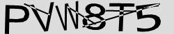 Darstellung des Captcha-Codes.