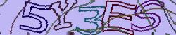 Darstellung des Captcha-Codes.
