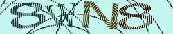 Darstellung des Captcha-Codes.