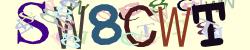 Darstellung des Captcha-Codes.