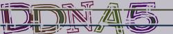 Darstellung des Captcha-Codes.